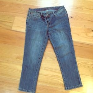 Chip & Pepper Cropped Denim